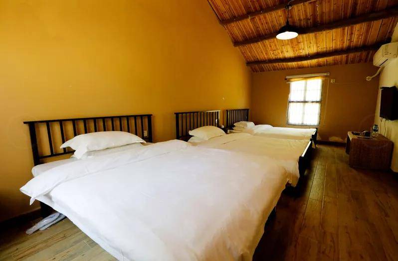 向往的民宿负氧离子爆棚