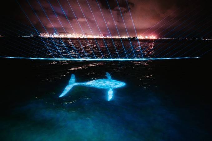 咚咚咚,环鼓夜游,发现厦门新玩法!_表演