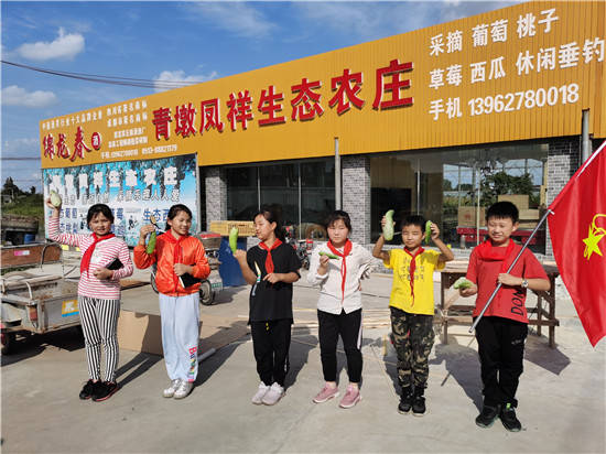 寻访小康路争做小先锋海安市南莫镇沙岗小学寻访小队寻访凤祥生态农庄