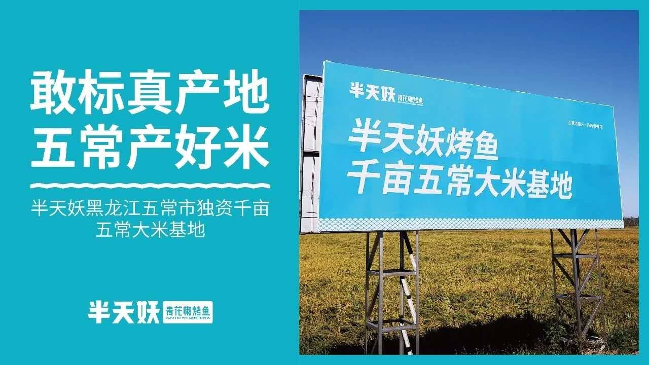 张一山做代言烤鱼赛道里的扛把子半天妖是如何在激烈的市场中突出重围