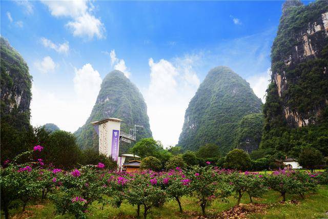 遇山乡舍:阳朔民宿旅行之十里画廊的九里花海去撒野