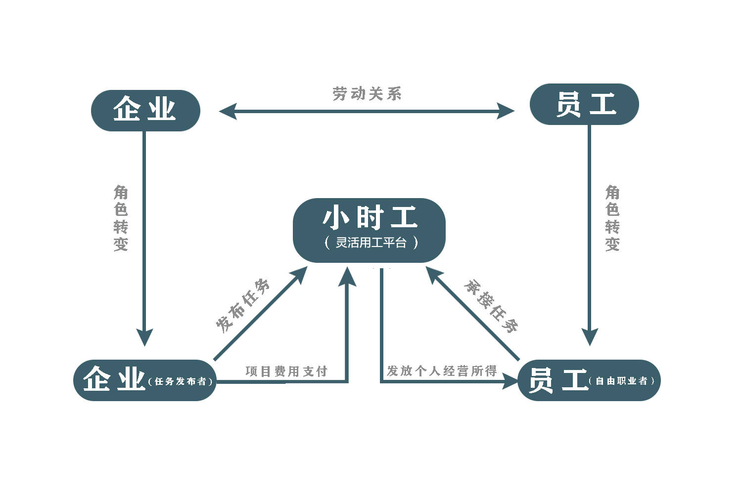 央视关注灵活用工税局与市场的双重认可