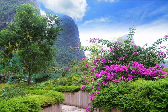 遇山乡舍:阳朔民宿旅行之十里画廊的九里花海去撒野