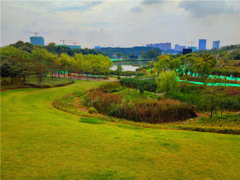 武汉西苑公园图片