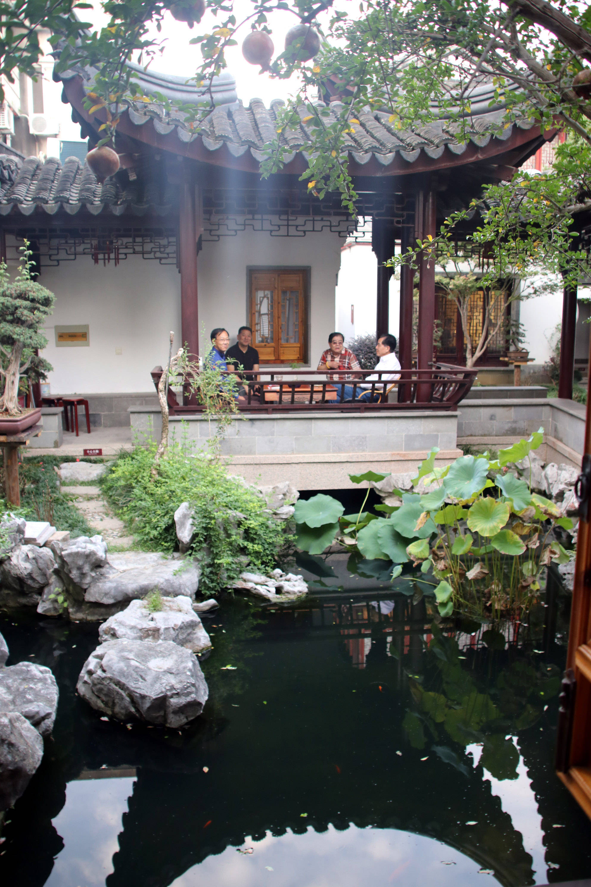 苏州溪润园打造成地道的园林盆景主题苏式民宿