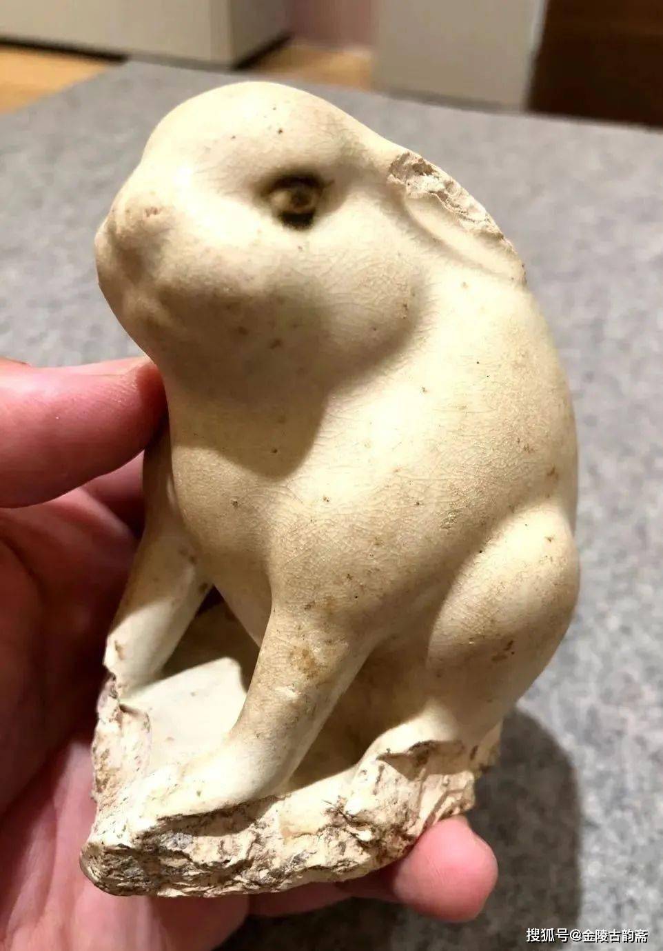 280万史上拍卖最贵的小白兔的今生今世