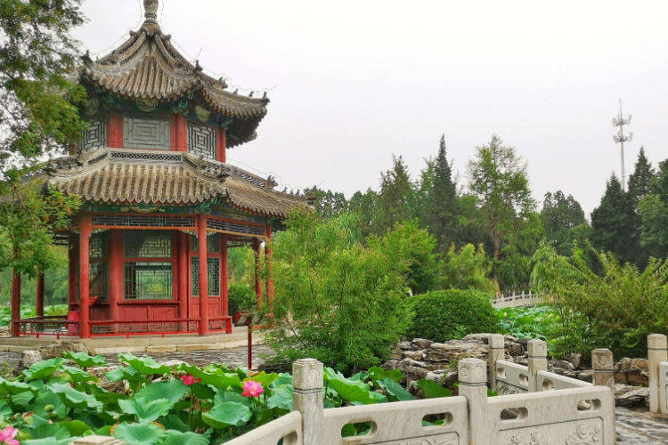 保定又一公园火了,人称津冀"小西湖",门票免费不输苏州园林_手机搜狐