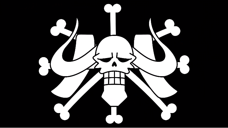 凯多海贼团旗帜图片