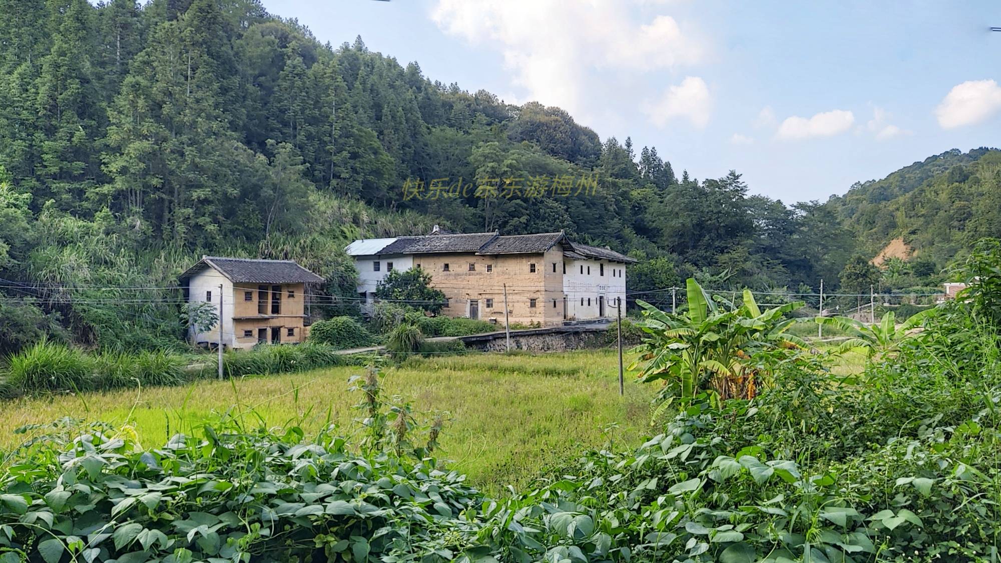 广东福建交界的偏僻高山上一个巴掌大的小村子竟然有一百多辆汽车