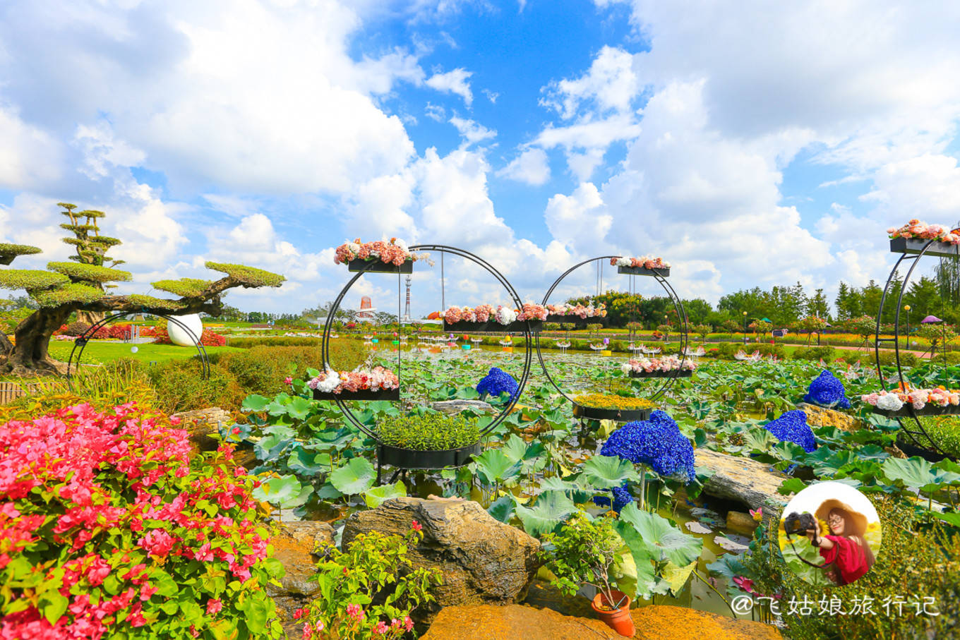 大豐 荷蘭 花海以田園,河網,建築,風車,花海為元素,打造出了具有 荷蘭