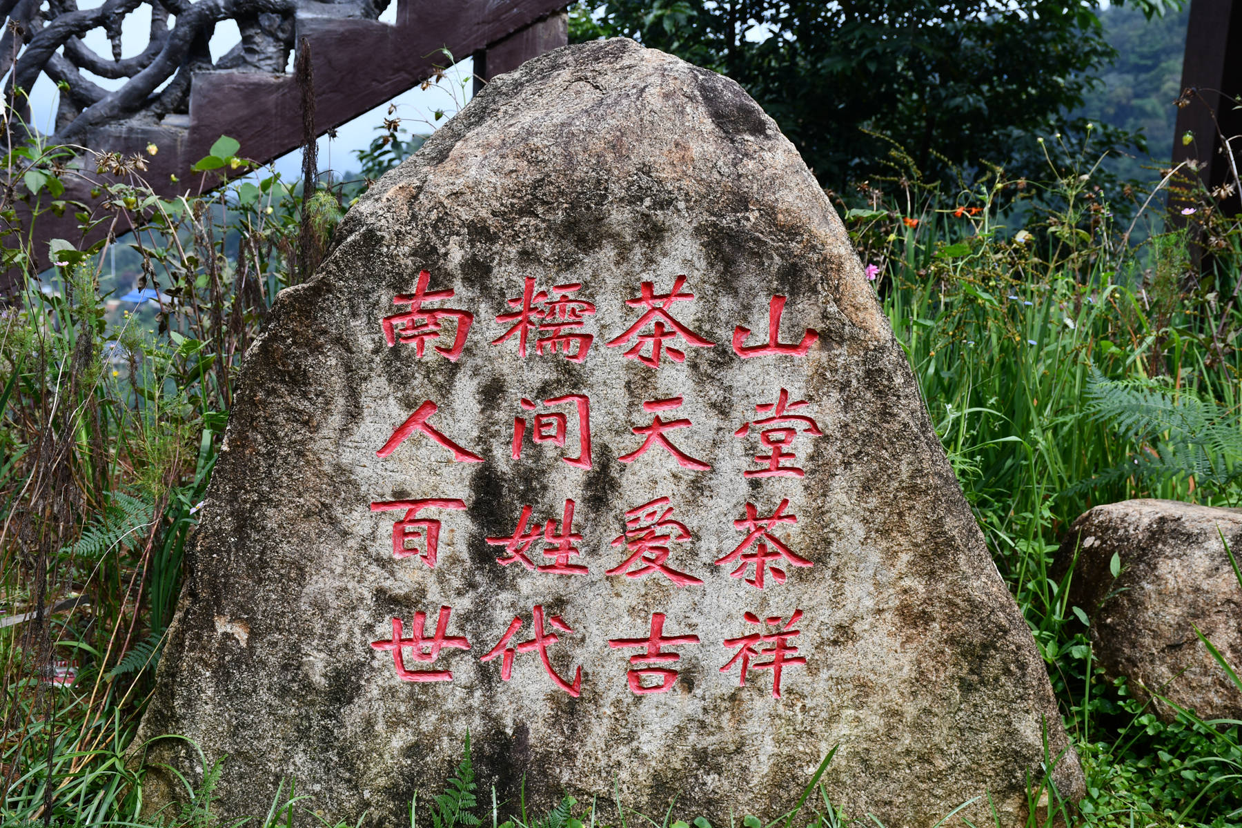 深度寻访茶树王之乡丨南糯山·向阳寨