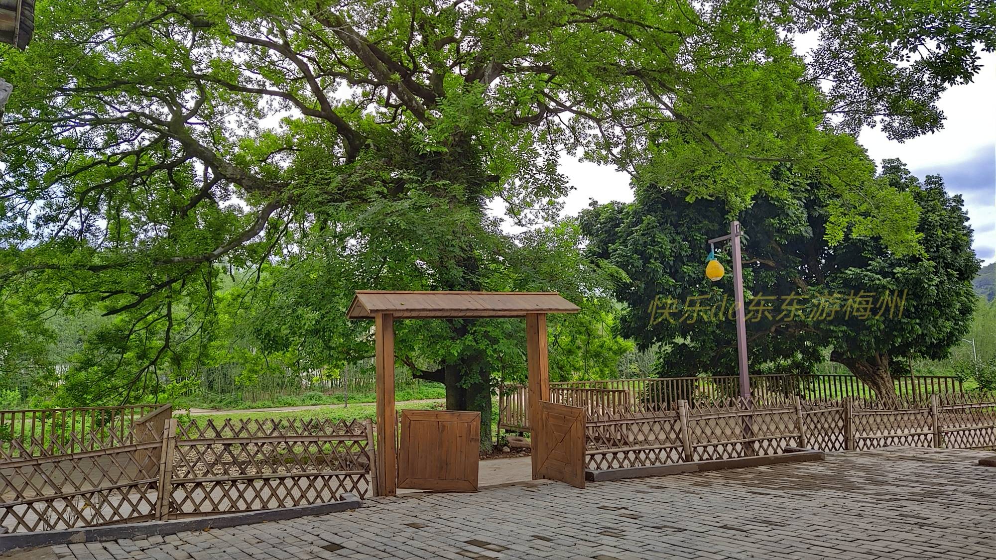 松源河畔风景如画,农家小院亲切如家,"真的不是一般的牛"