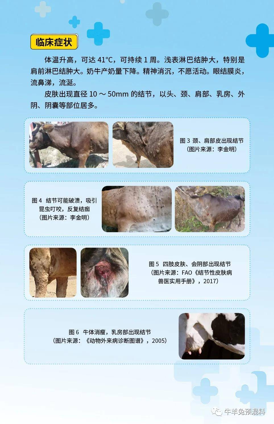 牛結節性皮膚病的防控病毒核酸檢測規範手冊