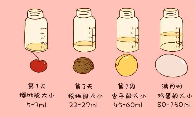 雖然每個寶寶的奶量,吃奶間隔都有所不同,但科學的餵養還是有一些規律