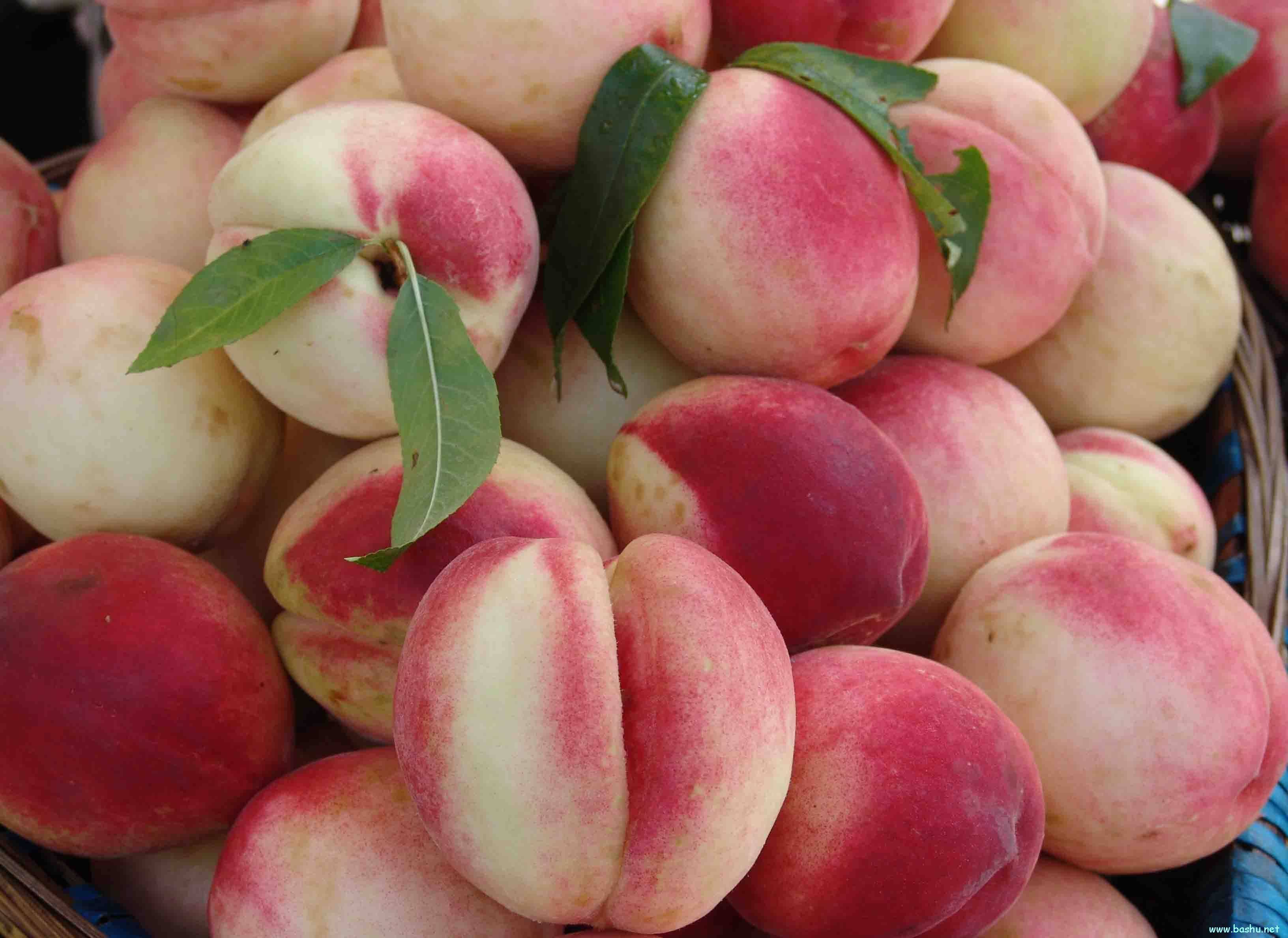 酿酒技术 酿酒设备|水蜜桃酒酿造方法