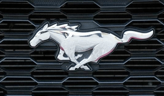 而作为一个知名豪车品牌,精致的法拉利车标也有一股跃然与纸上的狂野