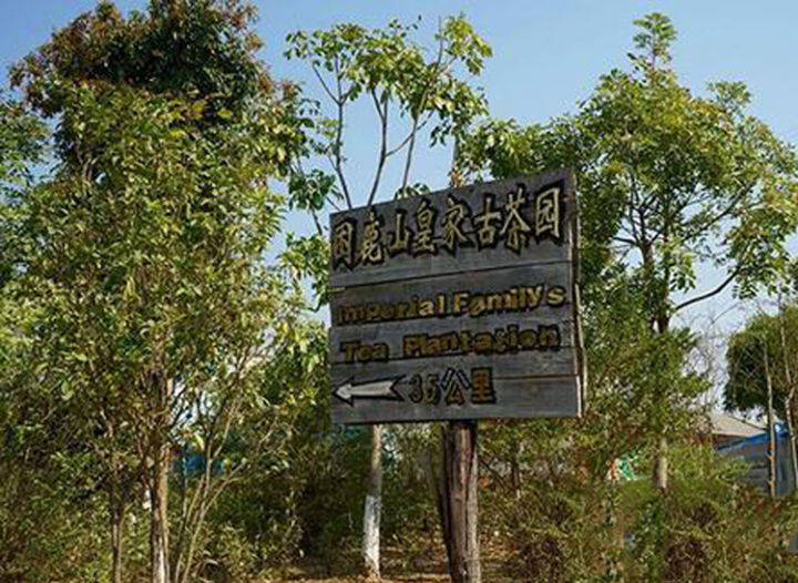 地理位置不同,土壤环境不同,茶的口感滋味也不同,今天介绍困鹿山古树