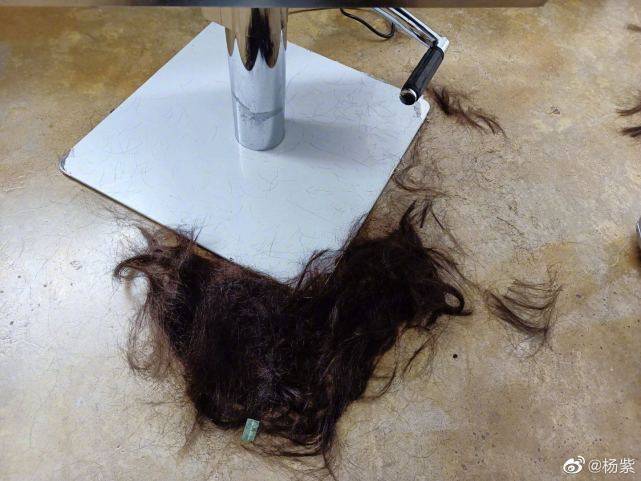 杨紫特意晒出剪掉的一地碎发,应该多少有点心疼吧,这是杨紫留了一年
