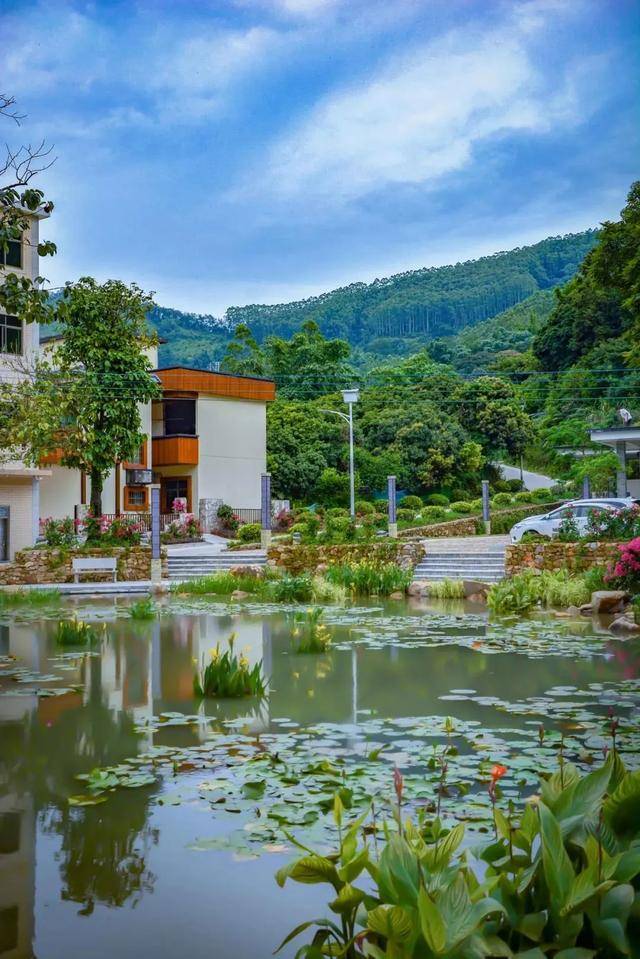 活动预告/本周日,百余名摄影家们将走进增城小楼镇邓山…_山村