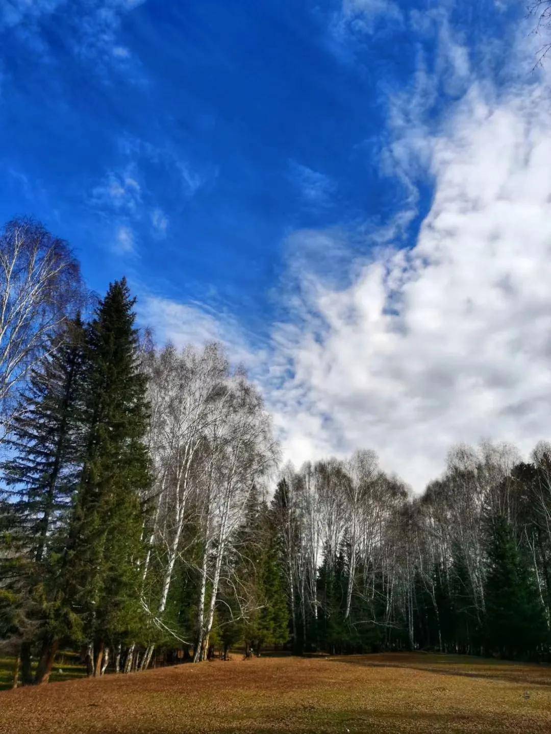 天空,雲捲雲舒,將禾木裝扮的像一位詩人,意境揮灑寫意的中國水墨丹青