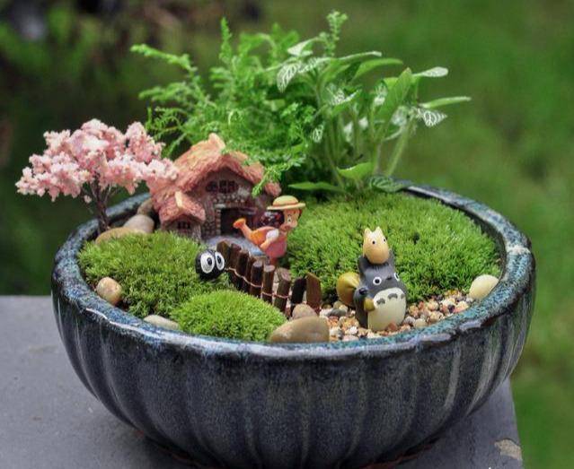 迷你小花园,玻璃瓶里的微景观,学会养苔藓,还你一个世界缩小版