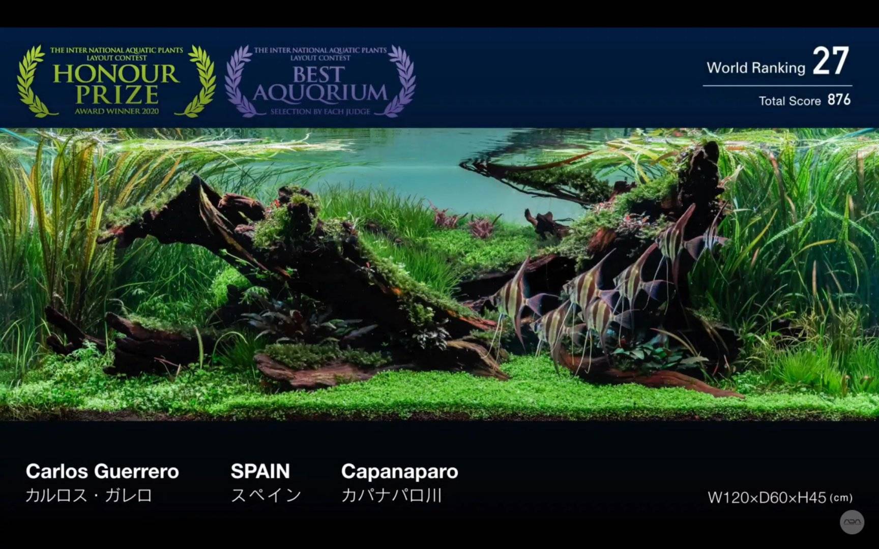 ada iaplc 2020水草造景比赛top27