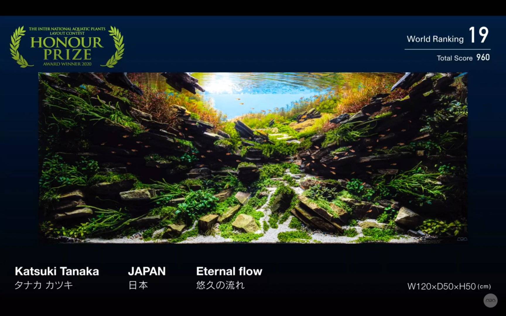 ada iaplc 2020水草造景比赛top27