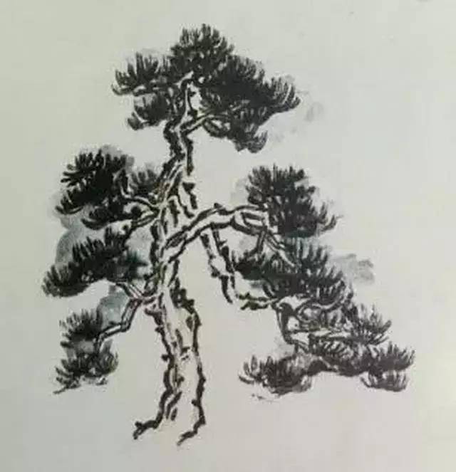 画一棵松树 一步步图片