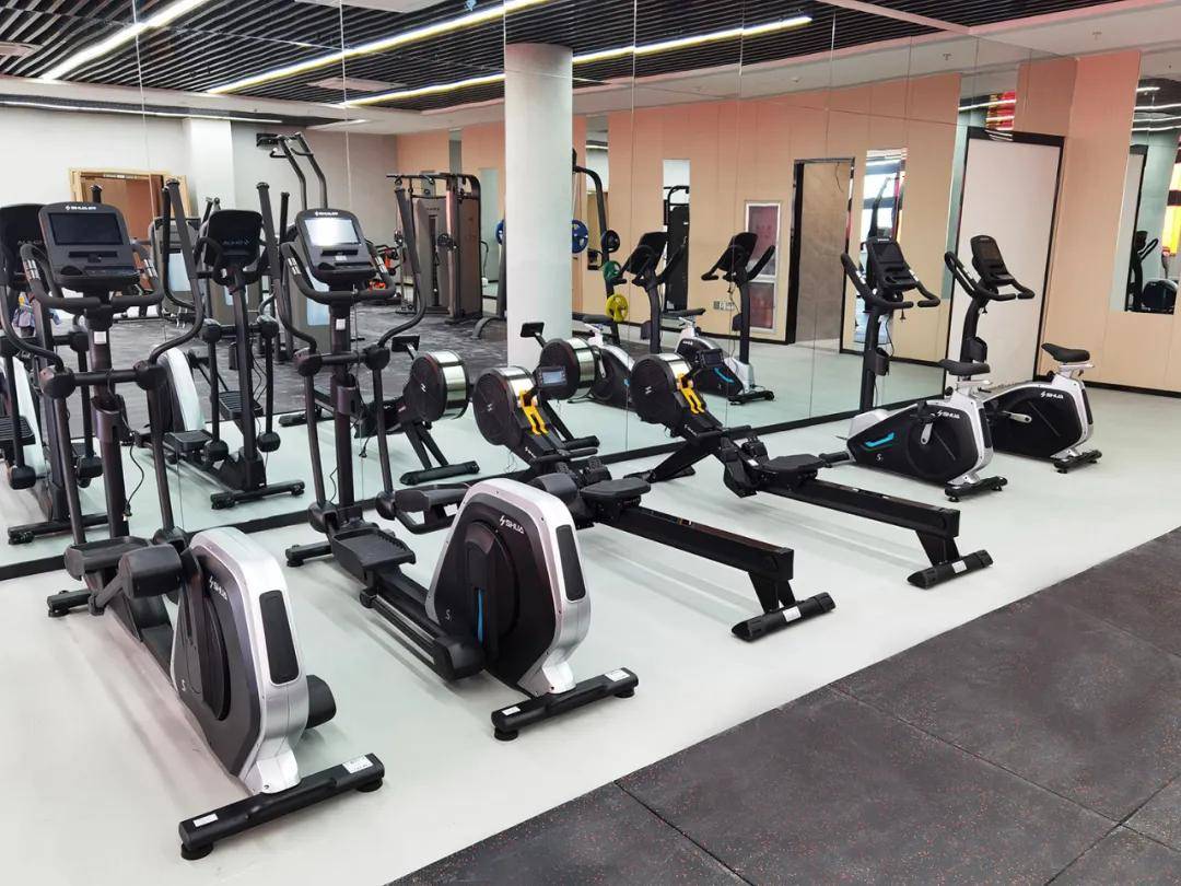 力量训练器械是青年健身爱好者们最重要的健身装备之一,为保证坦