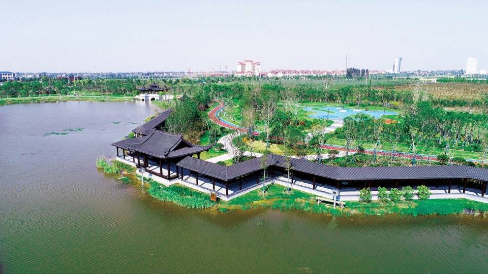 泰兴有个虹桥镇,彩虹惊艳长江岸线生态特色景观带