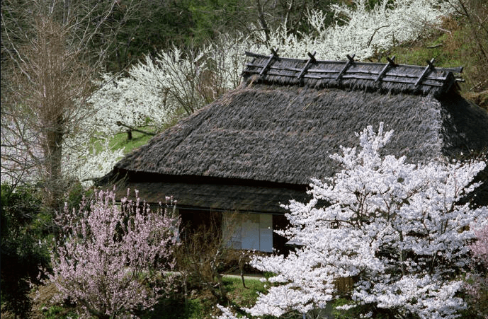 原創晉代隱士高人以老虎為僕人深山麋鹿以他為王最後病逝于山林