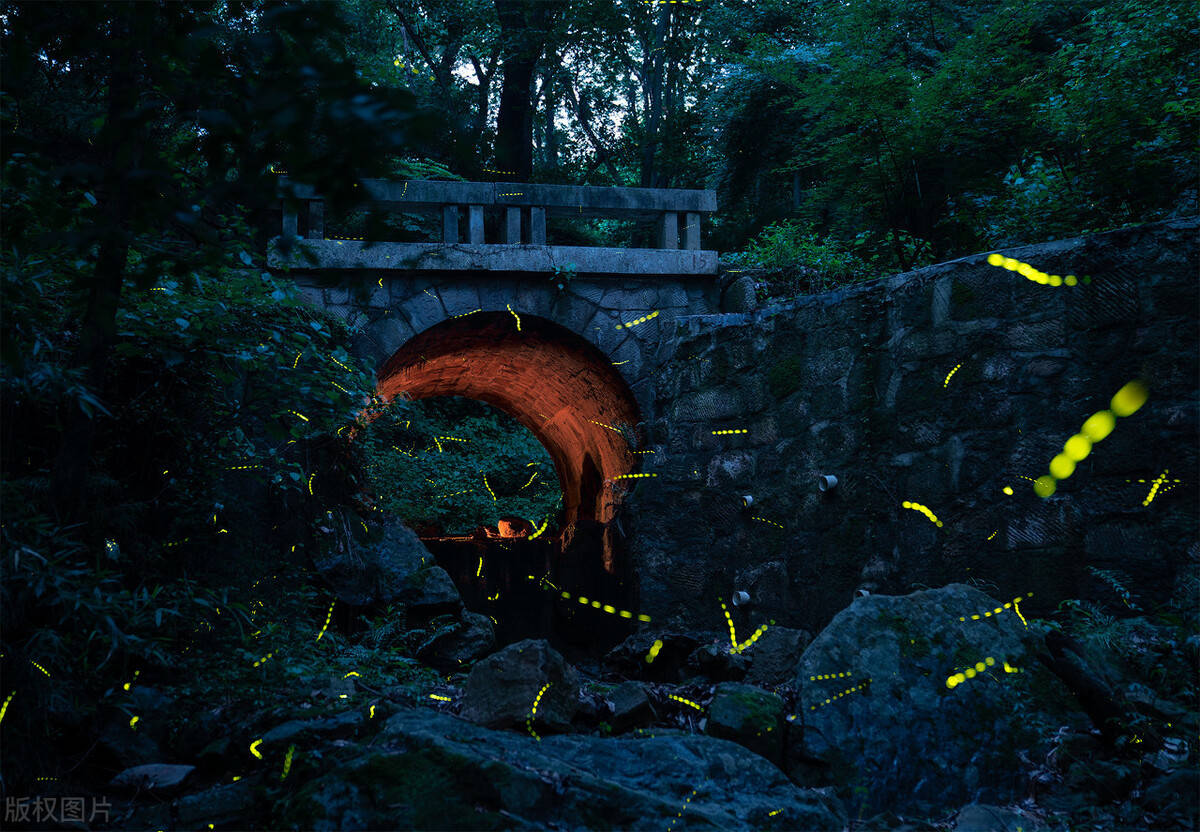 仲夏夜之梦莎士比亚的虐狗喜剧这狗粮真香