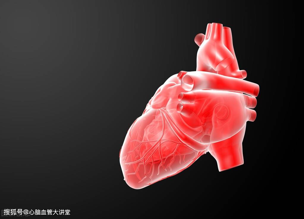北京古楼心脑疑难病研究院:二三尖瓣返流对人体有哪些影响?