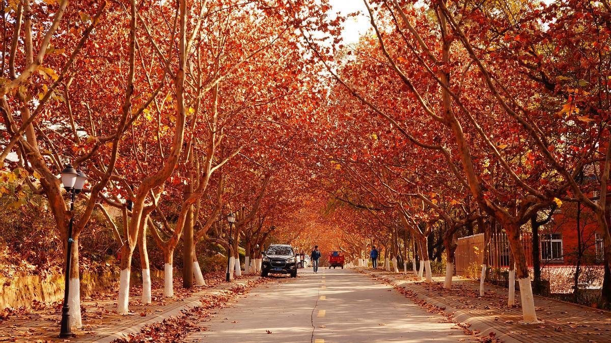四川被低估的一所大学,是国家西部重点建设十四所高校之一_手机搜狐网