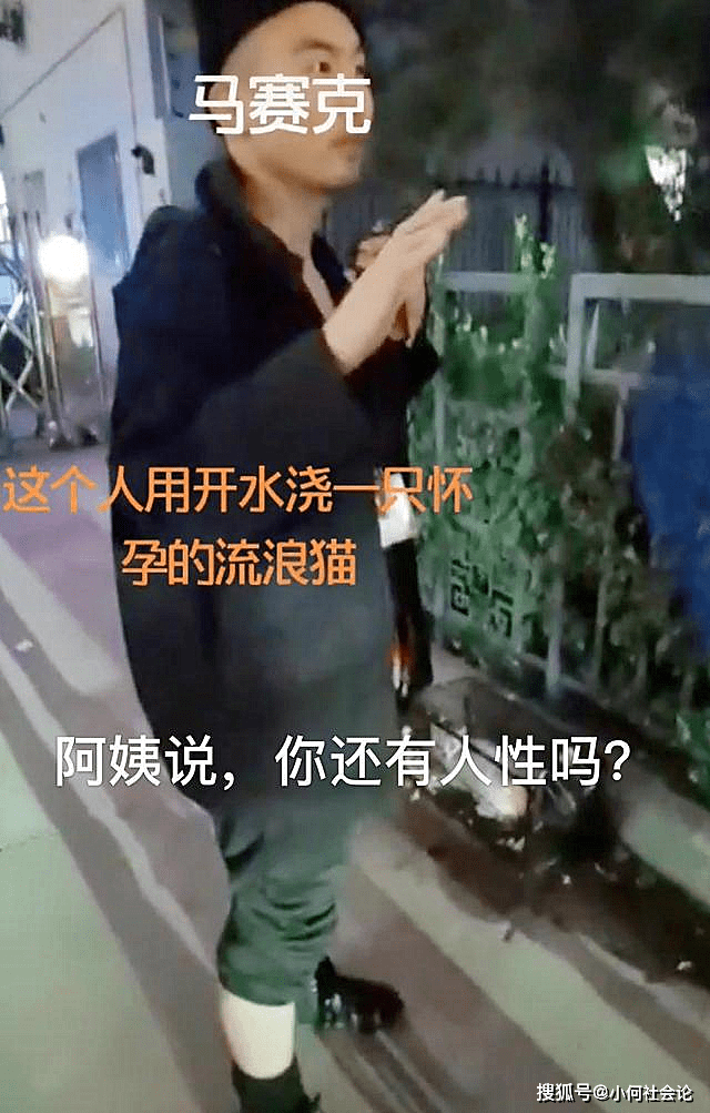 太原"开水烫猫"事件后续:200多名网友给虐猫男订花圈,客服加班劝退_母