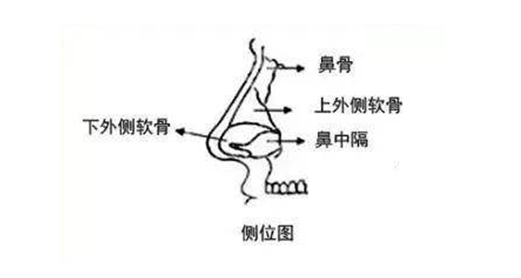 經常捏鼻樑真的能讓鼻子變高嗎專家來闢謠