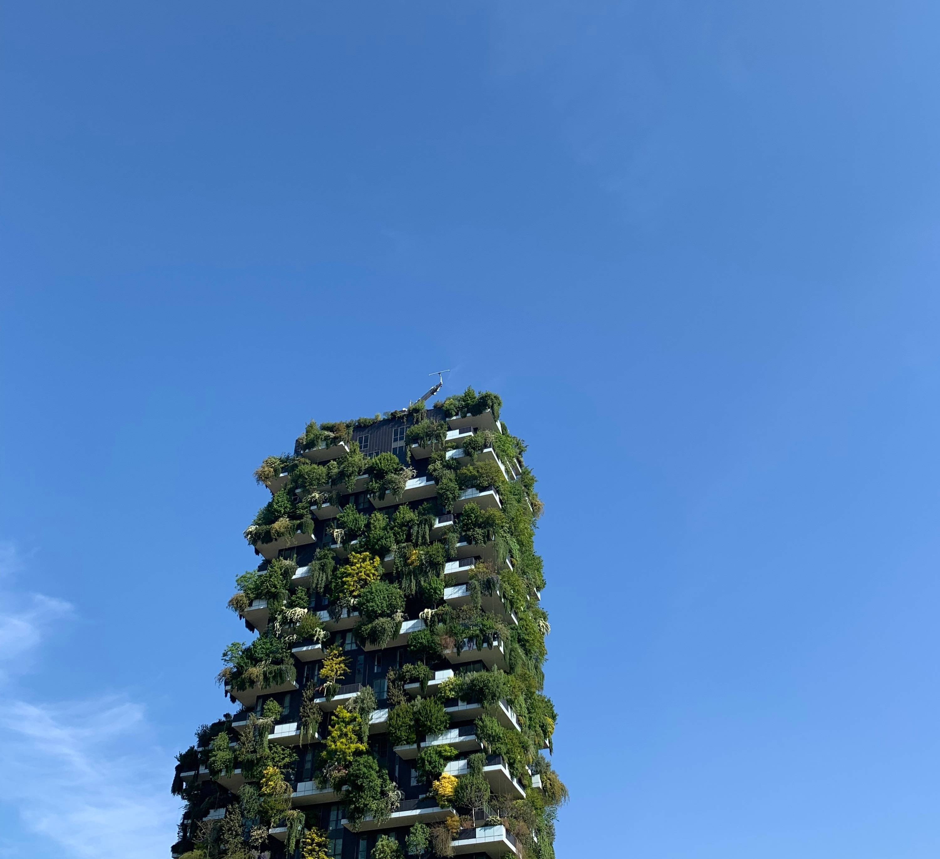 米兰新晋的地标,垂直森林,世界上第一对绿色公寓