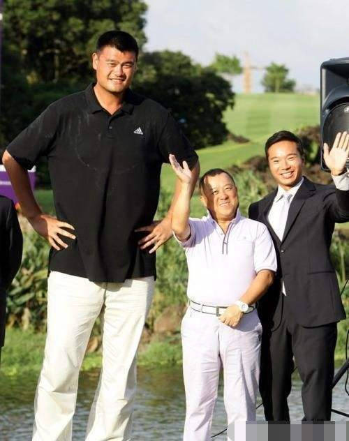 各明星跟"姚明"合照,范冰冰vs陈乔恩小鸟依人,看到杨幂:情商真高啊!