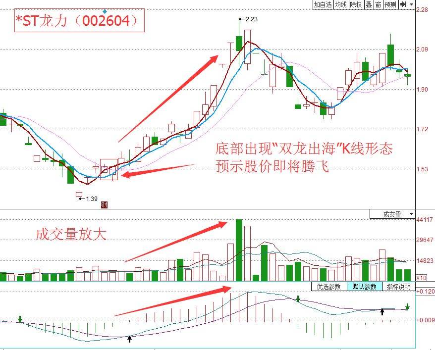 双龙出海面相图解图片