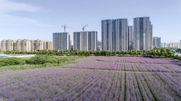 【官网】平湖-融创海越府火的一塌糊涂! 融创海越府耀世登场 !