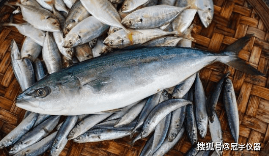 含组胺鱼类中毒及预防