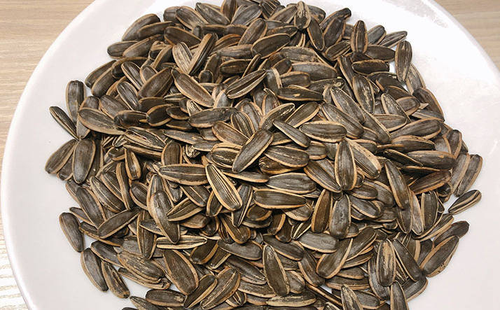 冬天瓜子能放几天吃剩的瓜子壳怎么用