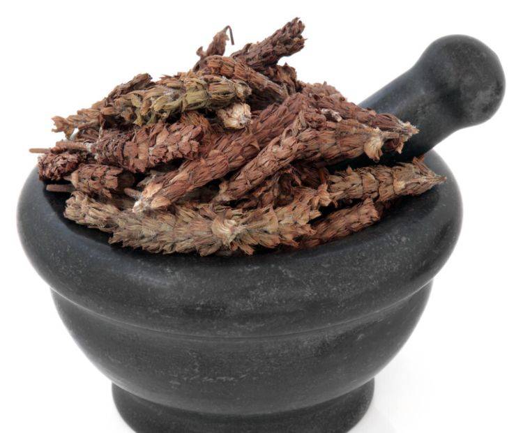 中草药清热药清热泻火类——夏枯草