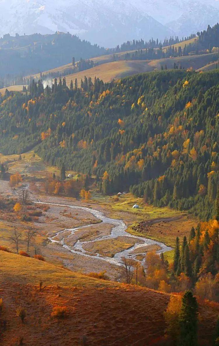 金秋十月的伊犁河谷,一个美丽的忧伤!_天山