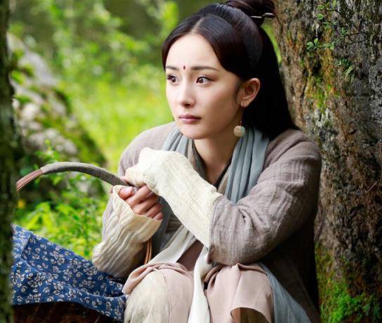 可能是一只鸟,一只兔子,再或者是一条被看成"小黑蛇"的夜华