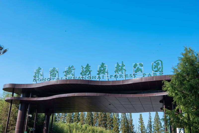 这里是丹顶鹤的家园,也是麋鹿的故乡,秋日盐城,风景中收获童话