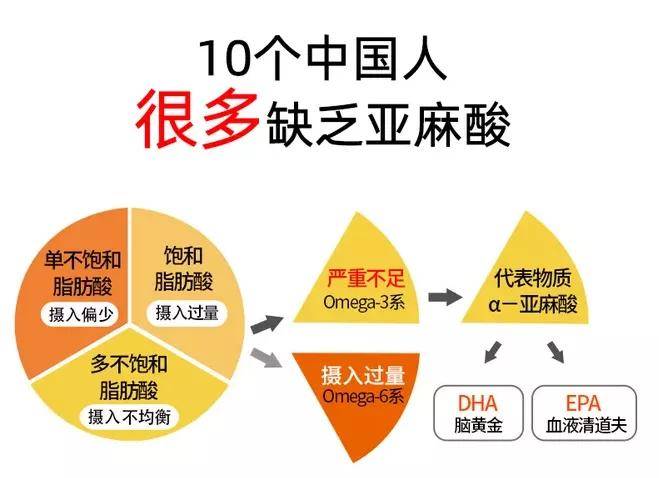 央视《百科探秘》 牡丹籽油与孕妇——α亚麻酸对孕妇胎儿的影响!