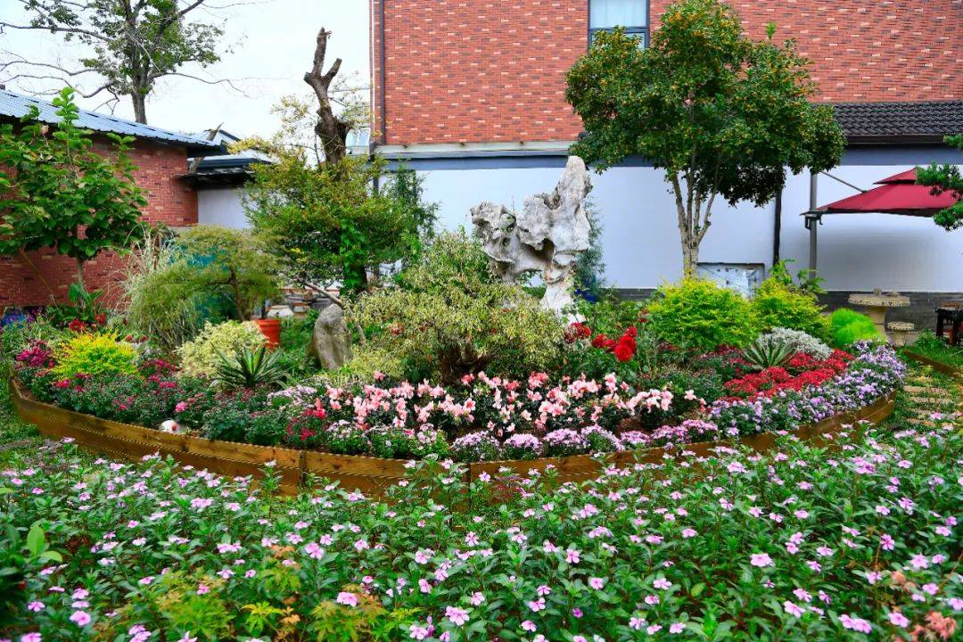 花开香满径江阴顾山的美丽庭院惊艳亮相