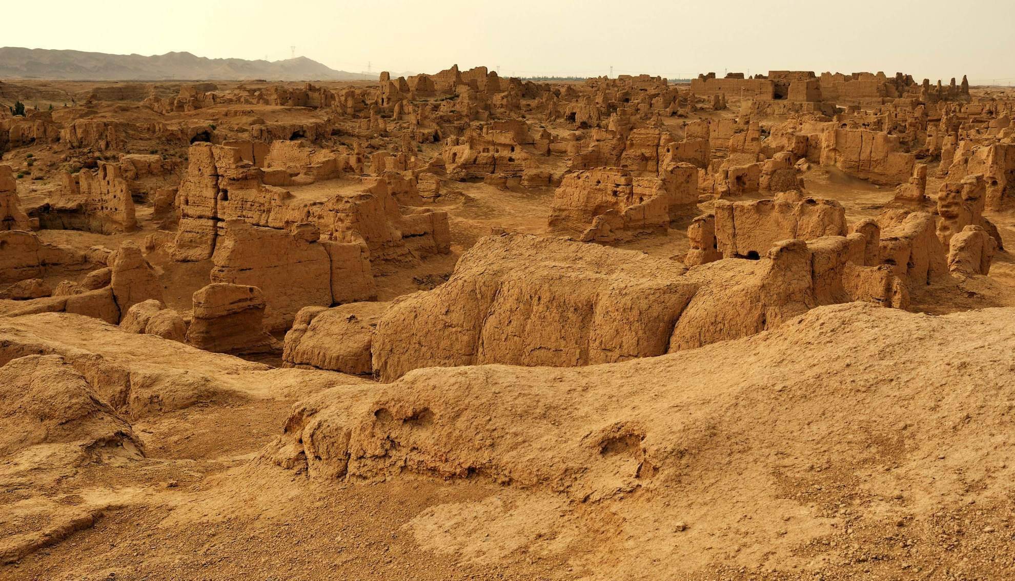 吐鲁番古墓群出土古麦穗,竟破解了两千多年前,古小麦的形态之谜_手机