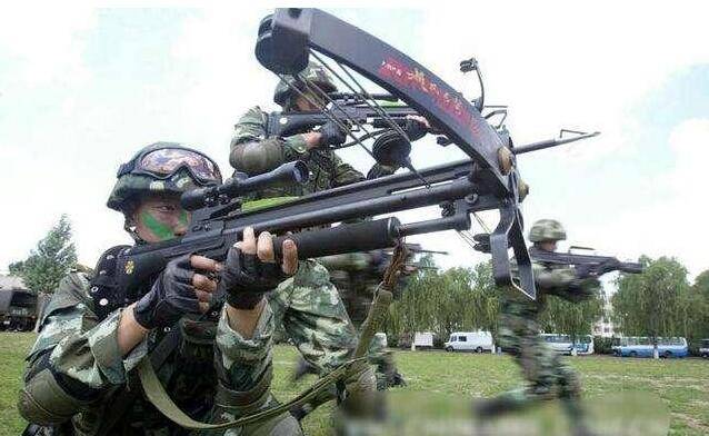 1把弩能买10支95步枪,射程也不如步枪,为啥解放军偏要用它?